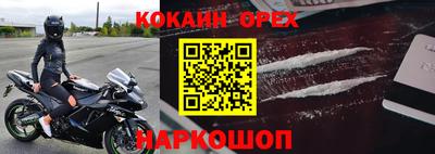 Альфа ПВП Можга
