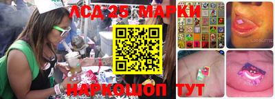 Альфа ПВП Можга