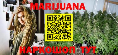 сатива Моздок