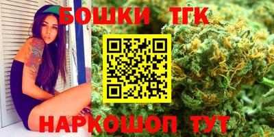 Альфа ПВП Можга