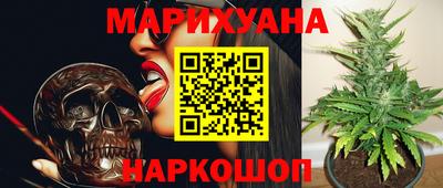 сатива Моздок